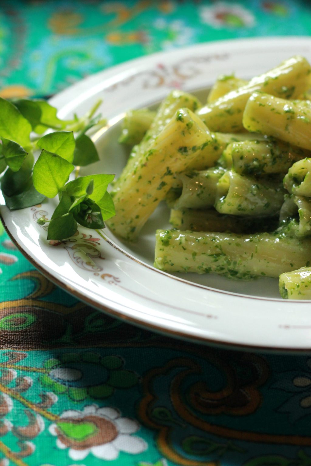 E guardo fuori dalla finestra. Pesto di&nbsp;Stellaria.